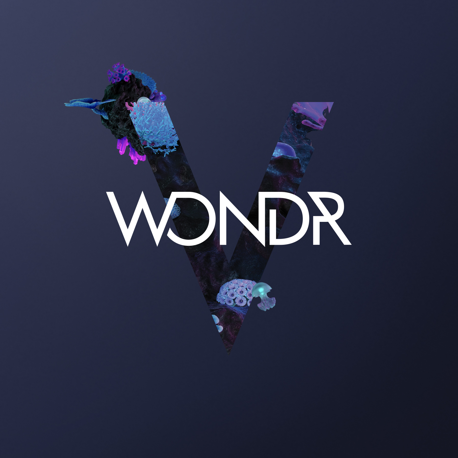 5 Years On - WONDR - A Digital Product Practice